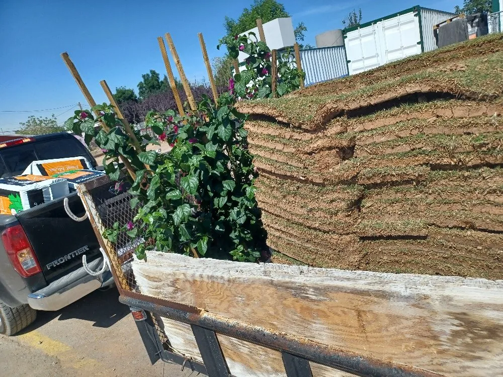 Professional yard cleanup service experts serving El Paso, TX - Rendon's Landscape & Yard Maintenance