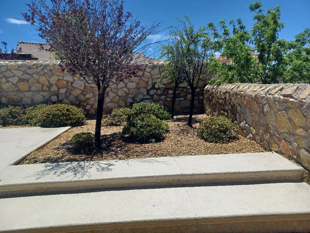Local yard cleanup service in El Paso, TX by Rendon's Landscape & Yard Maintenance