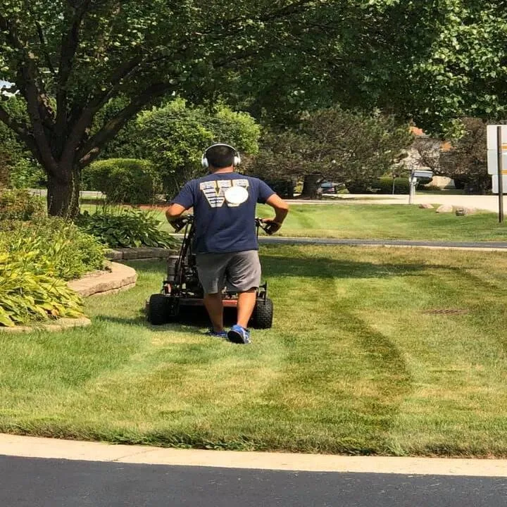 Affordable lawn mowing service experts serving Wheeling, IL - Rene & Sons Landscaping