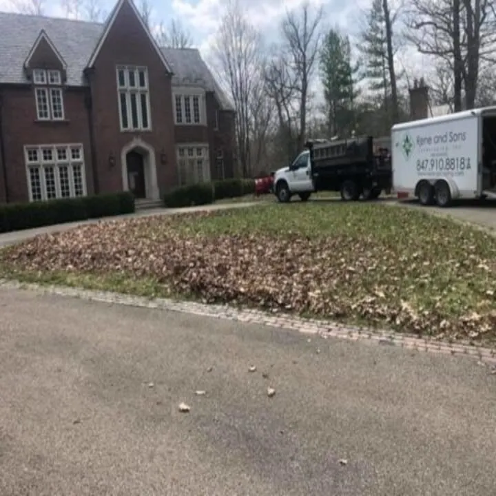 Local yard maintenance in Wheeling, IL by Rene & Sons Landscaping