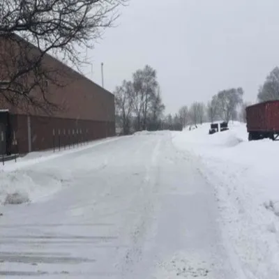 Rene & Sons Landscaping Logo