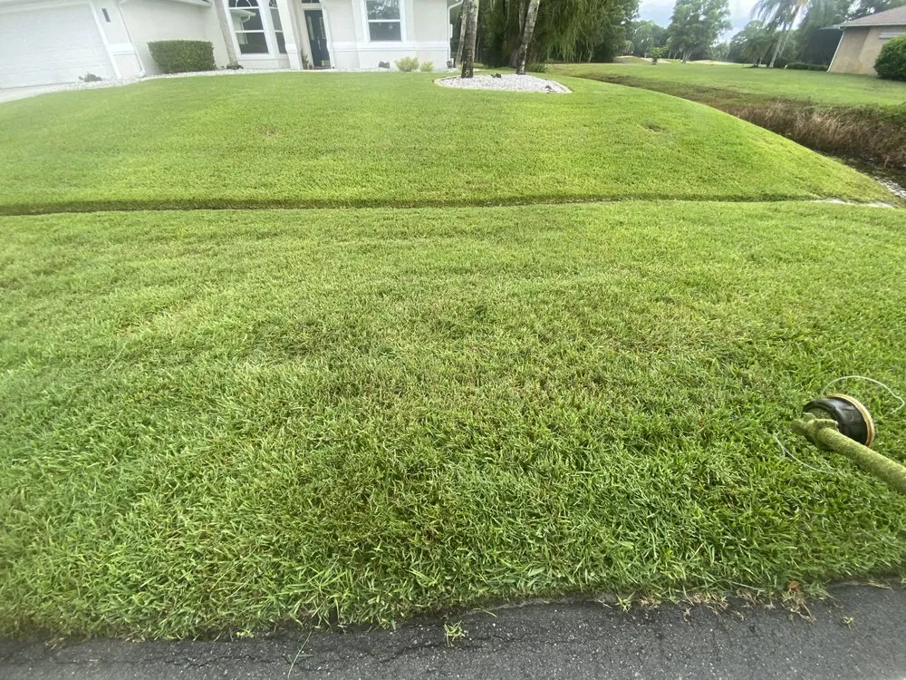 Reliable yard maintenance experts serving Stuart, FL - Rene Francisco Lawn & Tree Services