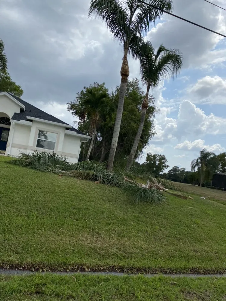 Expert landscape installation for outdoor upgrades across Stuart, FL - Rene Francisco Lawn & Tree Services