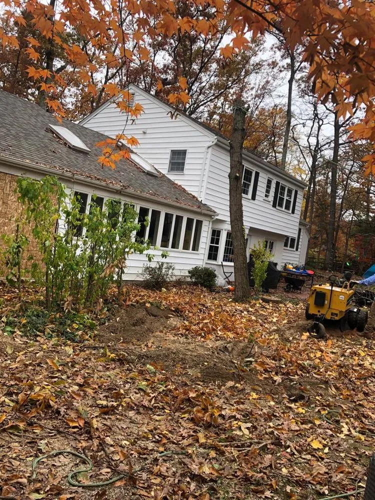 Trusted garden landscaping for year-round maintenance in Sterling, VA by Rene Grijalva Landscaping