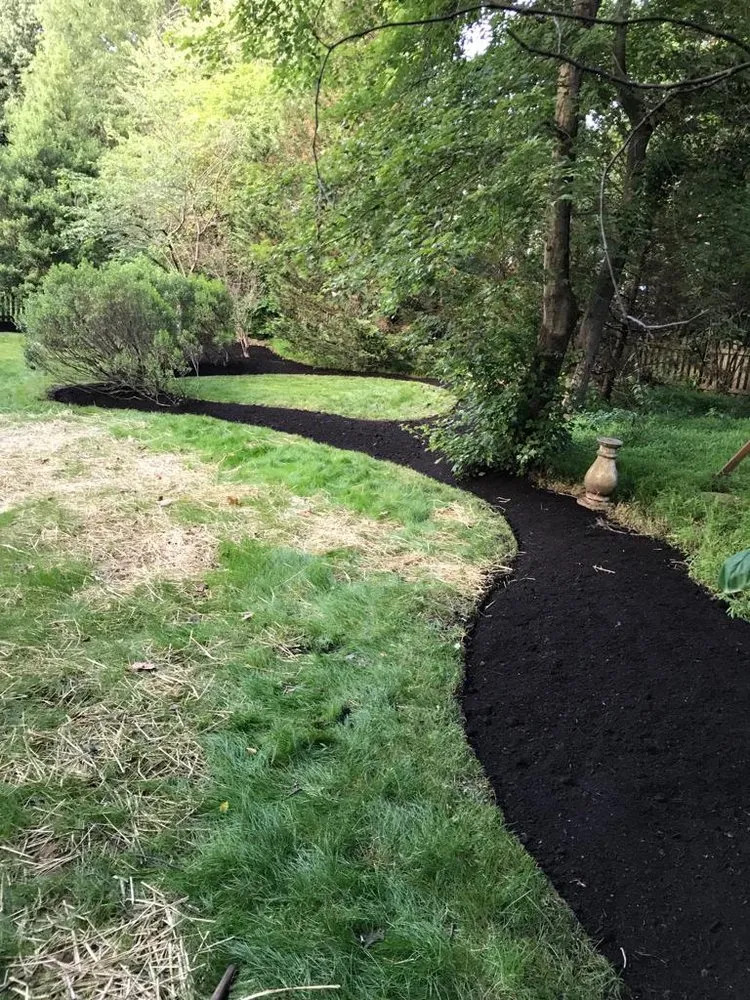 Reliable yard cleanup service experts serving Sterling, VA - Rene Grijalva Landscaping