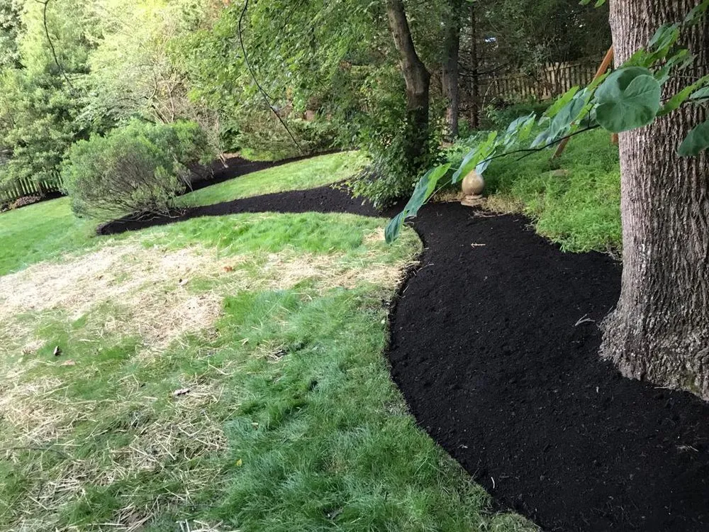 Top-rated yard cleanup service experts serving Sterling, VA - Rene Grijalva Landscaping