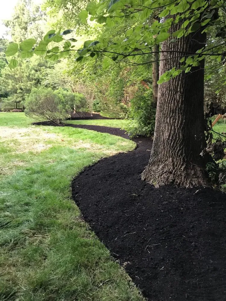 Reliable yard maintenance experts serving Sterling, VA - Rene Grijalva Landscaping