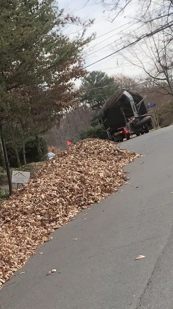 Professional landscaping services for year-round maintenance across Sterling, VA - Rene Grijalva Landscaping