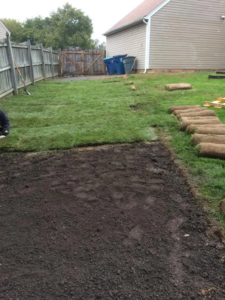 Affordable yard cleanup service in Sterling, VA - Rene Grijalva Landscaping