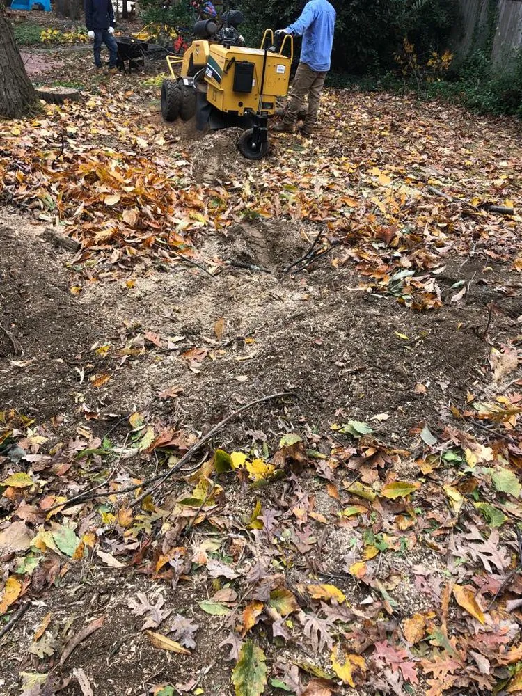 Professional lawn mowing service for residential properties across Sterling, VA - Rene Grijalva Landscaping