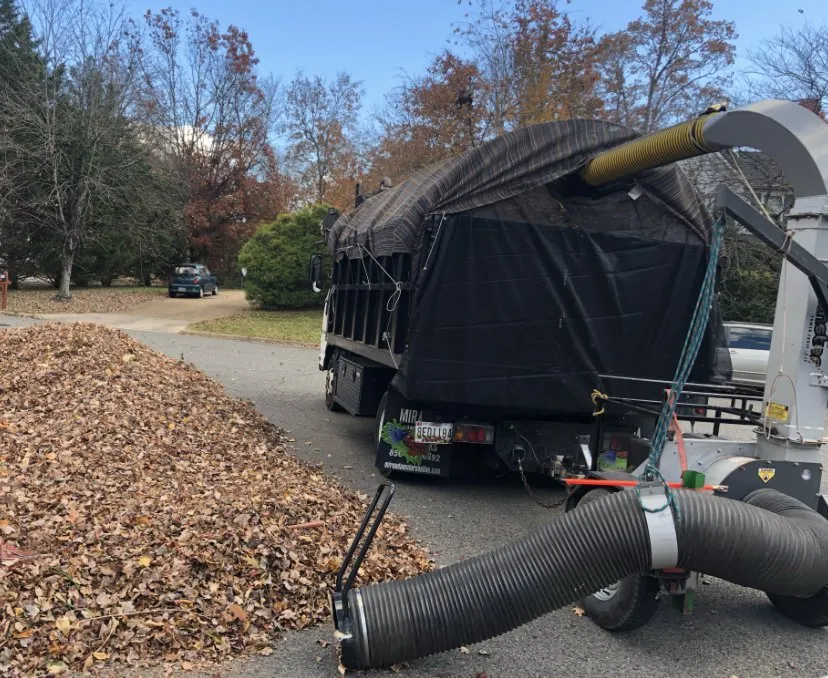 Professional garden landscaping in Sterling, VA by Rene Grijalva Landscaping