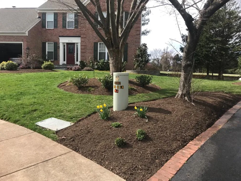 Trusted yard cleanup service in Sterling, VA - Rene Grijalva Landscaping