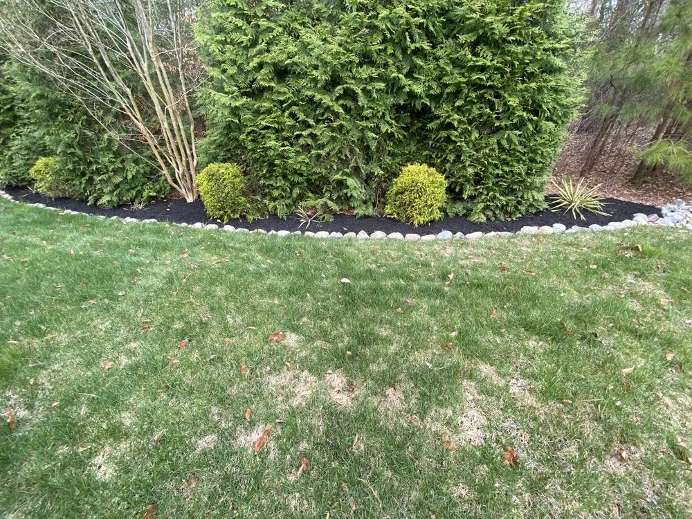 Top-rated lawn care service in Salisbury, MD by Rene Home Services