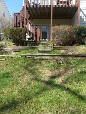 Rene Landscaping Logo