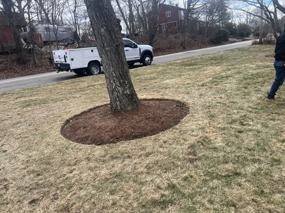 Reliable landscaping services in Lynn, MA by Rene Nolasco New Generation Landscaping