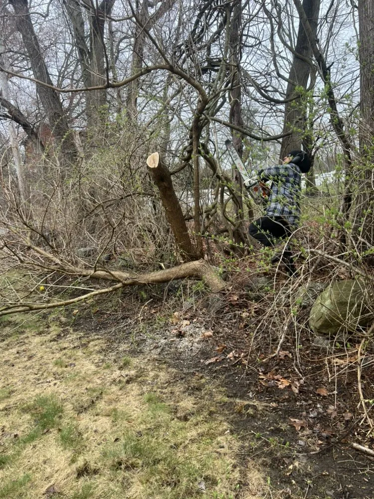 Local residential landscaping in Lynn, MA - Rene Nolasco New Generation Landscaping