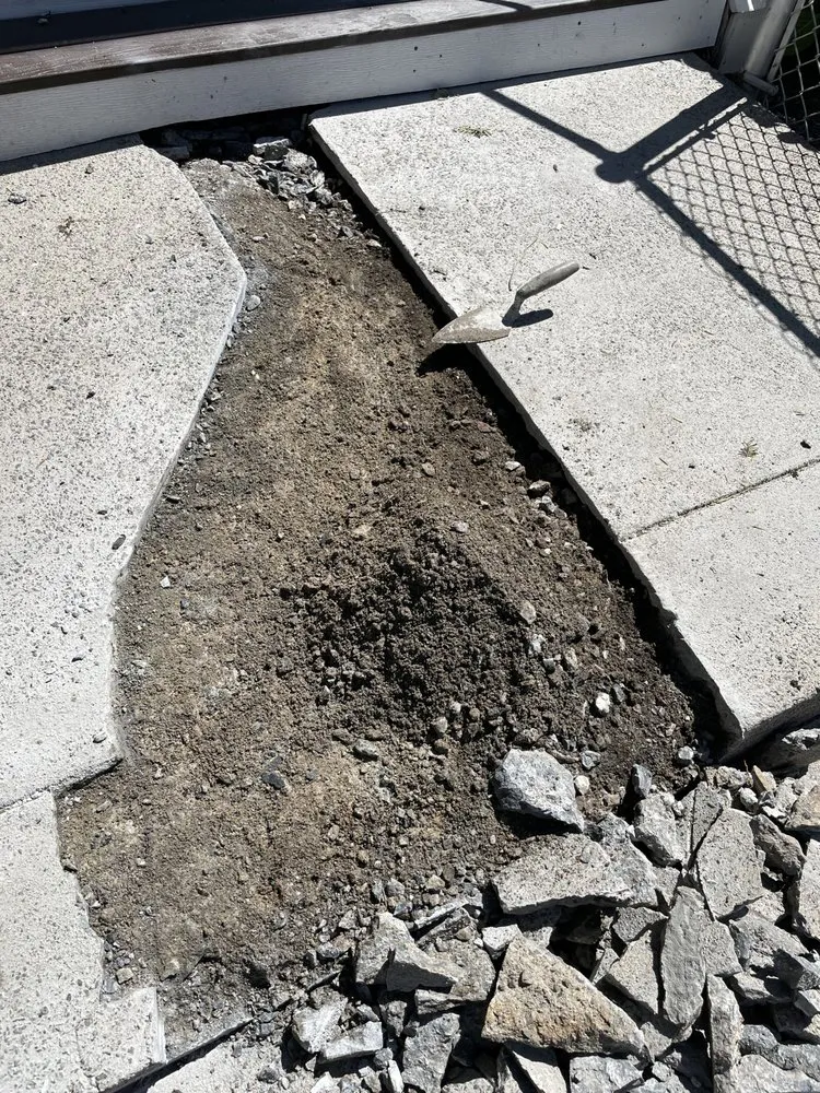 Trusted lawn care service for beautiful yards in Lynn, MA by Rene Nolasco New Generation Landscaping