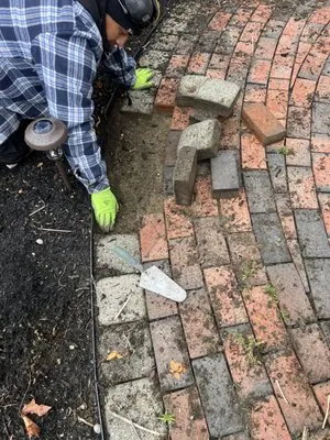 Rene Nolasco New Generation Landscaping Logo