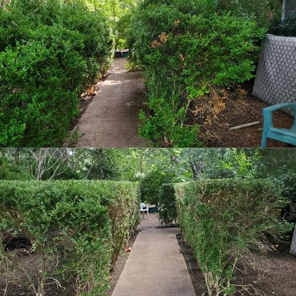 Professional outdoor landscaping in Corsicana, TX by Rene Ramos