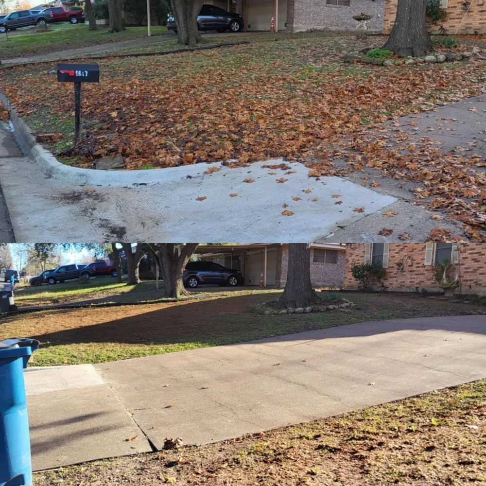 Expert landscape design experts serving Corsicana, TX - Rene Ramos