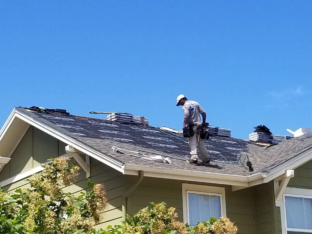 Custom yard maintenance in Lakewood, CO - Renegade Building Services