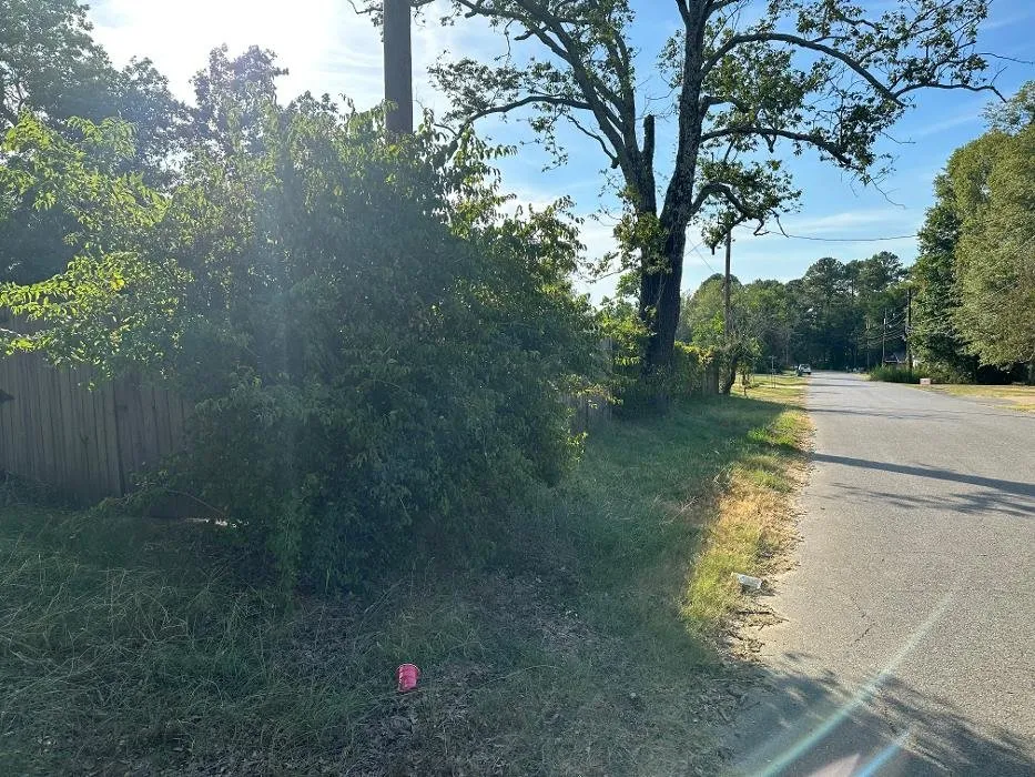 Expert yard cleanup service in Henderson, TX by Renegade Lawn & Landscaping