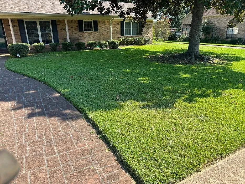 Expert yard cleanup service in Henderson, TX - Renegade Lawn & Landscaping