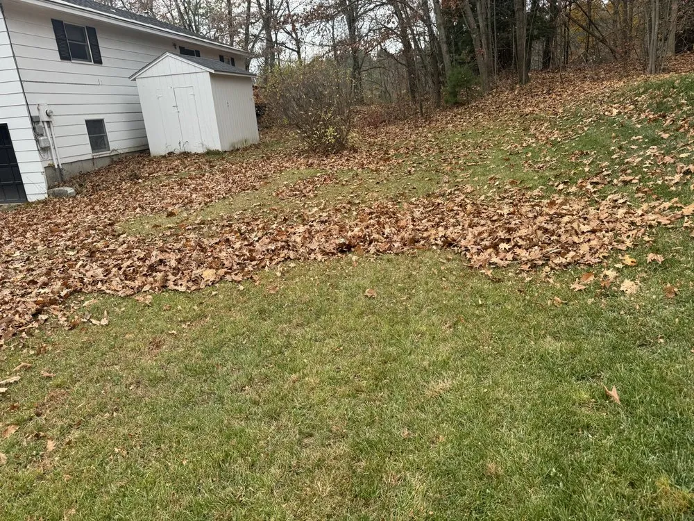 Expert landscape installation in Brattleboro, VT by Renegade Property Maintenance