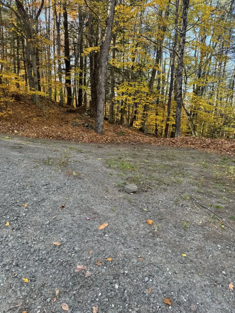 Trusted lawn care service in Brattleboro, VT by Renegade Property Maintenance