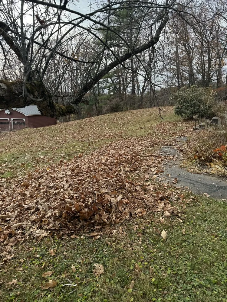 Affordable garden landscaping experts serving Brattleboro, VT - Renegade Property Maintenance