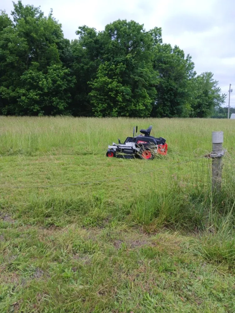 Local landscape design for beautiful yards across Savannah, TN - rene's & mike's landscaping
