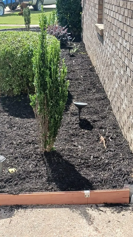 Reliable landscape design in Savannah, TN - rene's & mike's landscaping