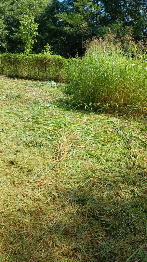 Professional landscape design experts serving Savannah, TN - rene's & mike's landscaping