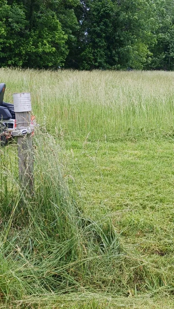 Reliable landscape installation for residential properties in Savannah, TN by rene's & mike's landscaping