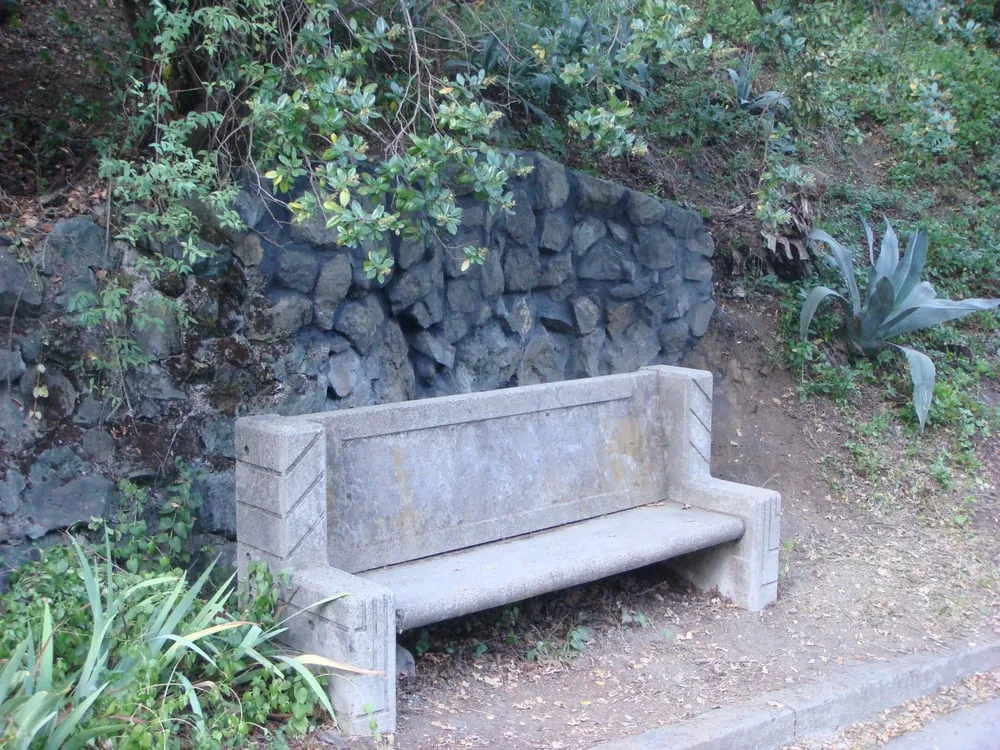 Expert outdoor landscaping for homes in San Rafael, CA by Rene's Landscaping & Concrete