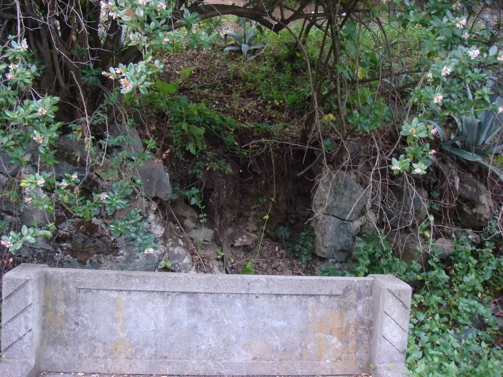 Local landscape design near you across San Rafael, CA - Rene's Landscaping & Concrete