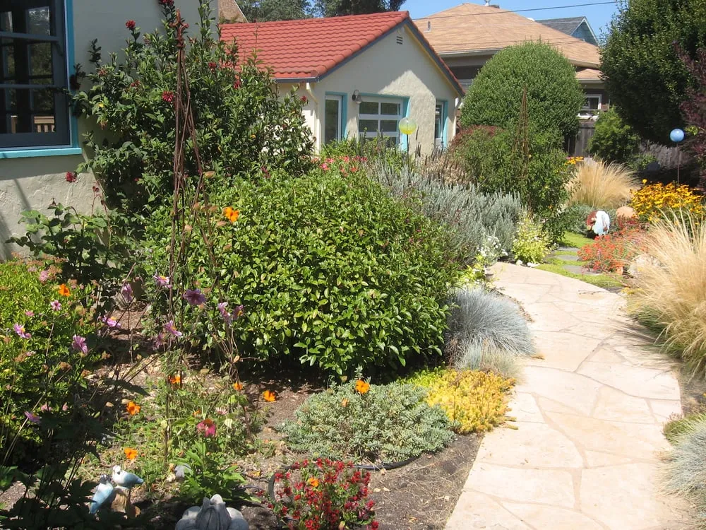 Trusted residential landscaping in San Rafael, CA by Rene's Landscaping & Concrete