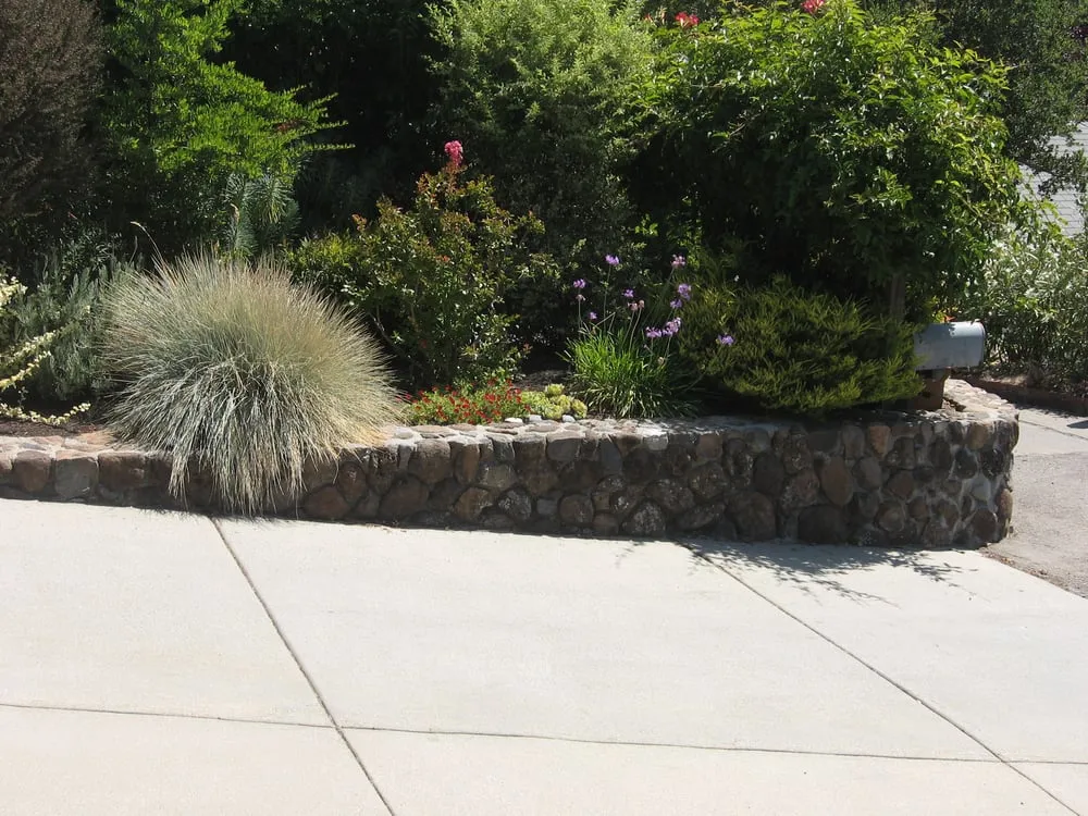 Reliable residential landscaping experts serving San Rafael, CA - Rene's Landscaping & Concrete