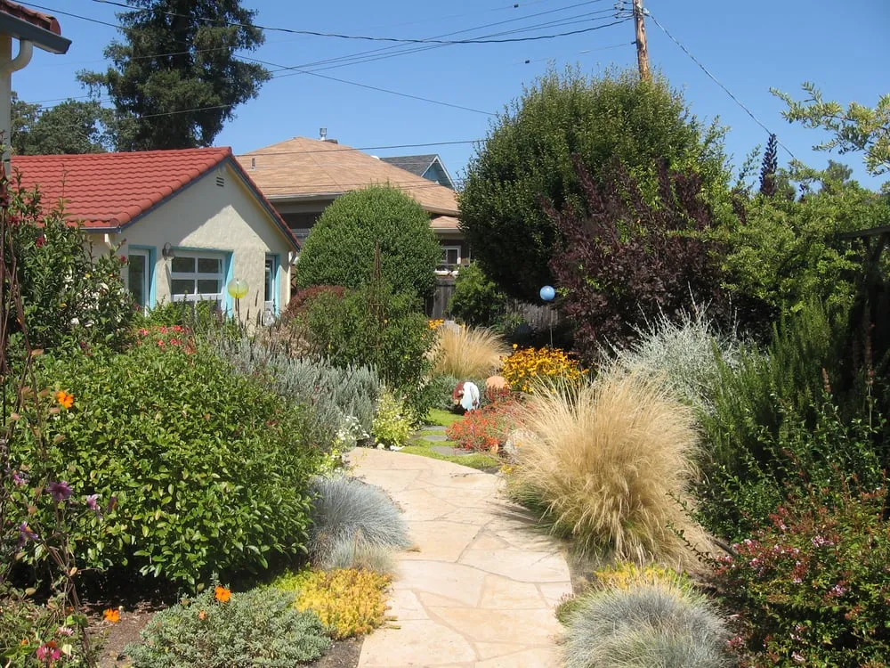 Expert lawn care service in San Rafael, CA - Rene's Landscaping & Concrete