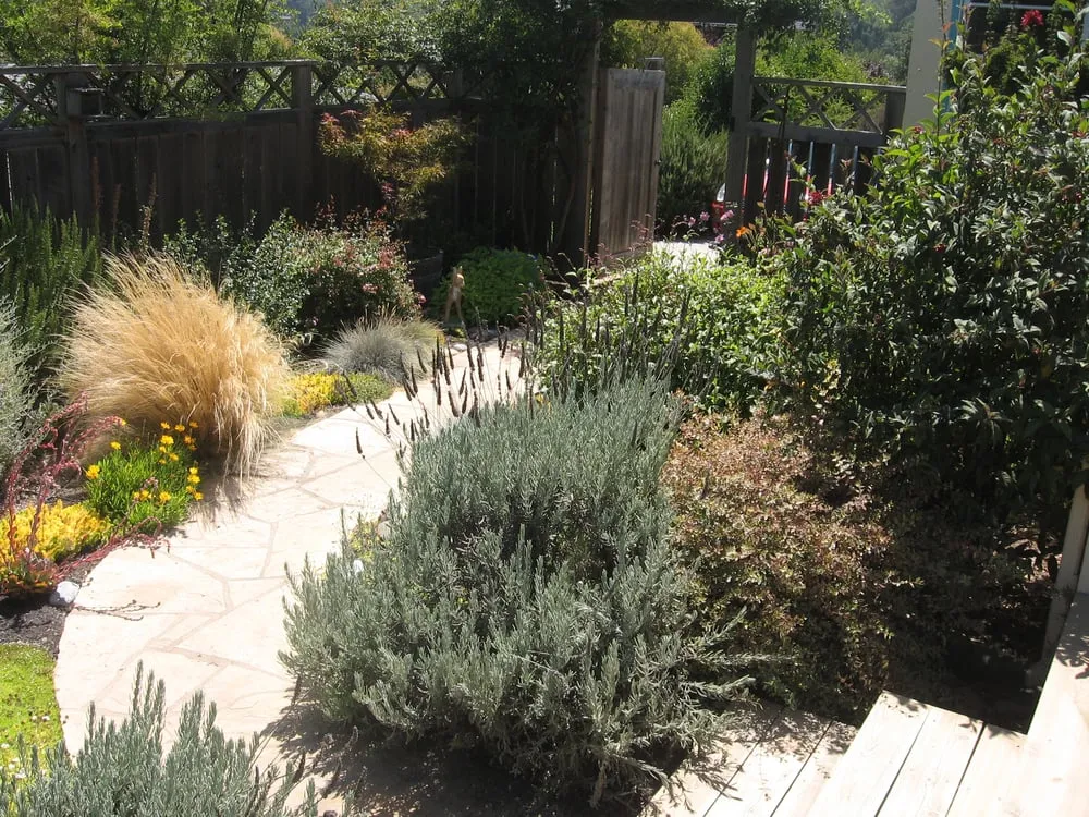 Reliable yard maintenance near you in San Rafael, CA by Rene's Landscaping & Concrete
