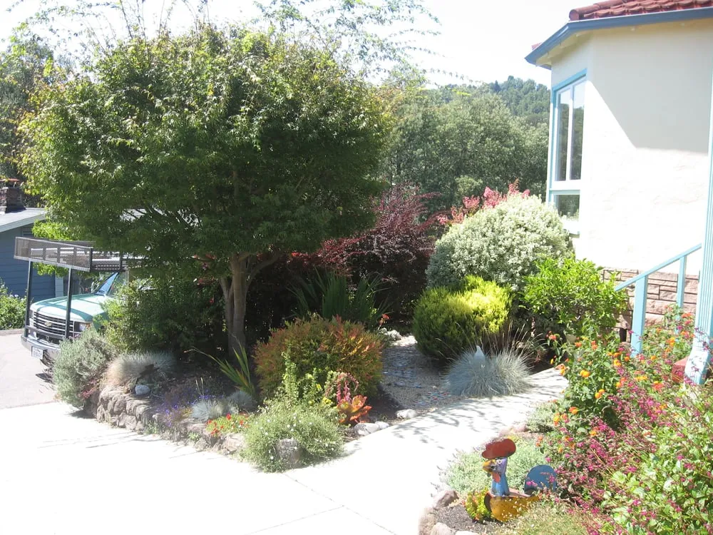 Reliable garden landscaping experts serving San Rafael, CA - Rene's Landscaping & Concrete