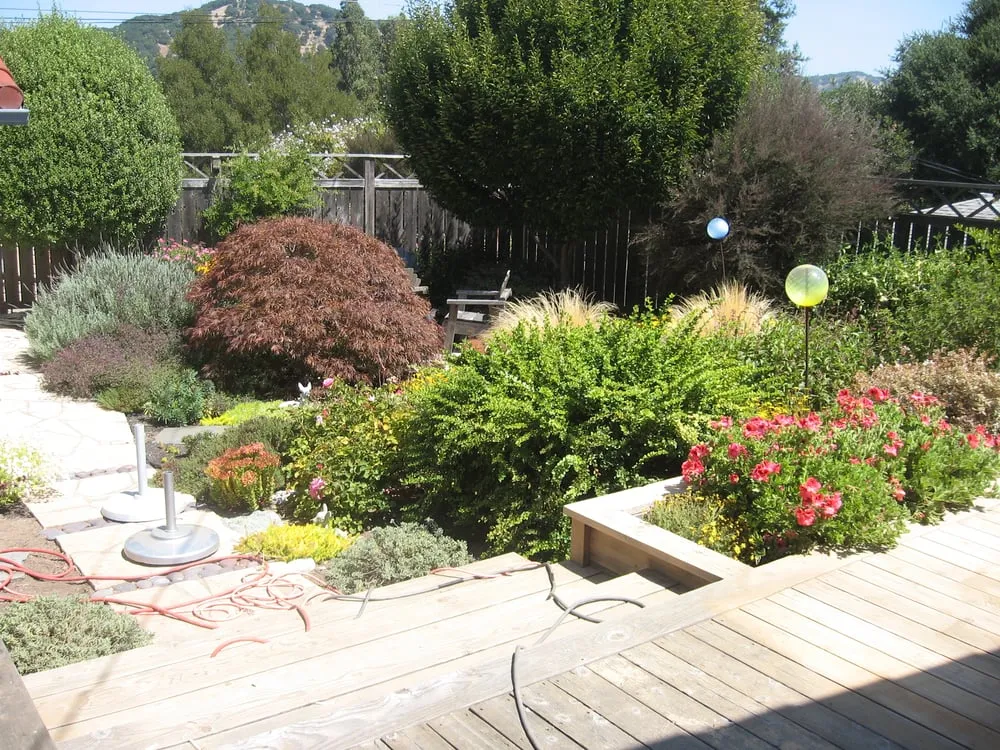 Affordable landscape installation for beautiful yards across San Rafael, CA - Rene's Landscaping & Concrete