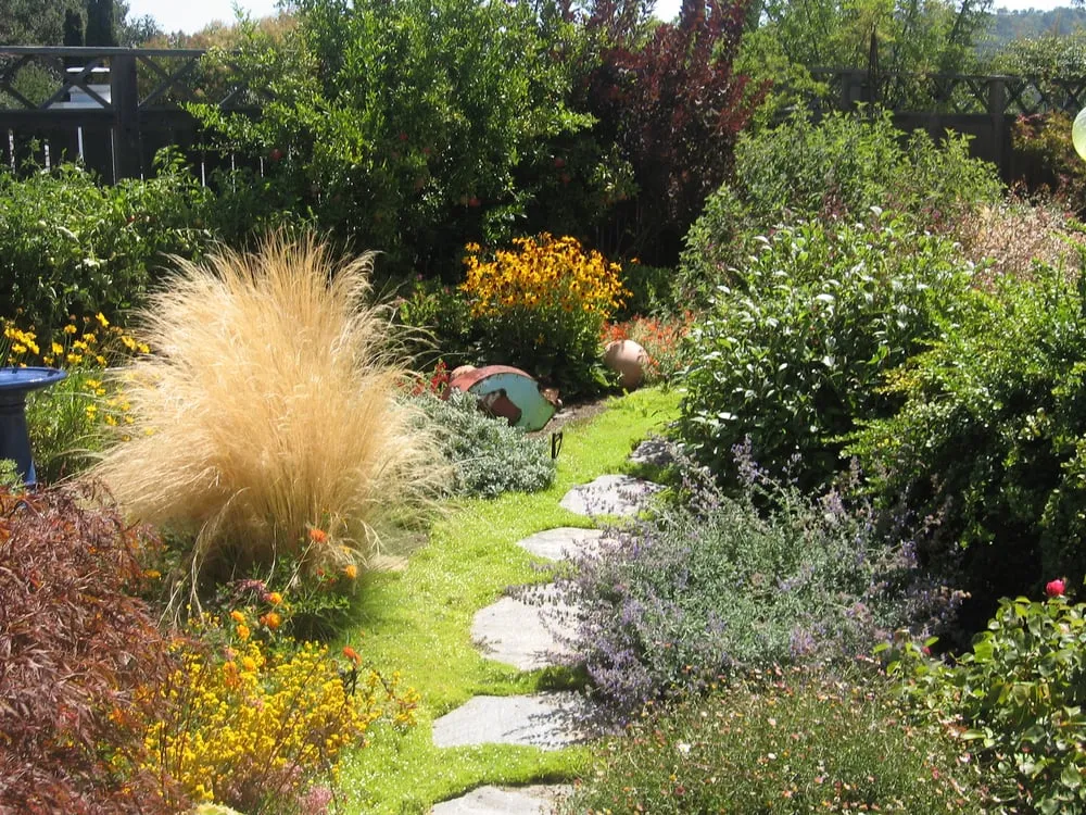Top-rated outdoor landscaping in San Rafael, CA - Rene's Landscaping & Concrete