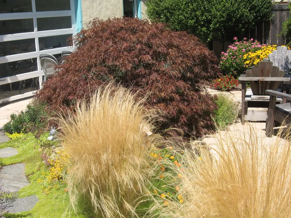 Affordable garden landscaping in San Rafael, CA - Rene's Landscaping & Concrete
