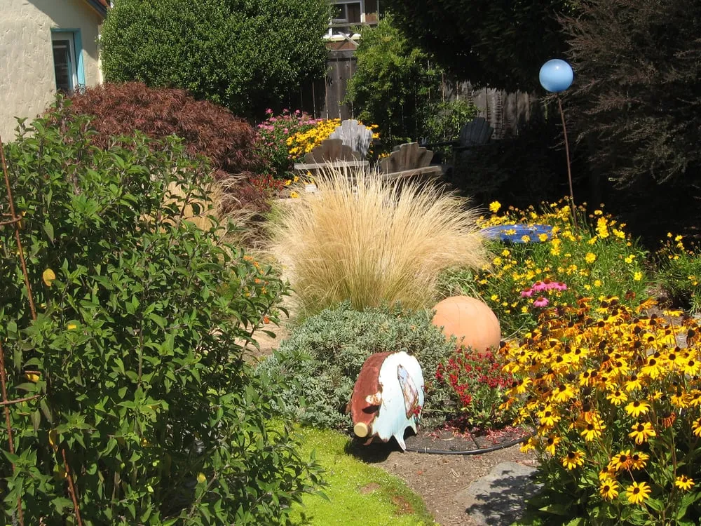 Custom lawn mowing service experts serving San Rafael, CA - Rene's Landscaping & Concrete