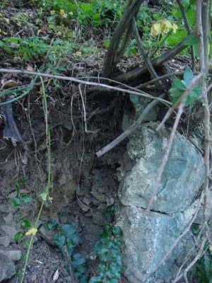 Rene's Landscaping & Concrete Logo