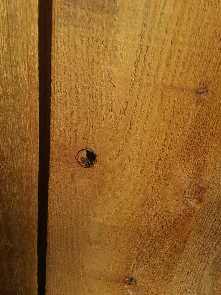 Expert garden landscaping experts serving Rockwall, TX - Renew Fence & Construction