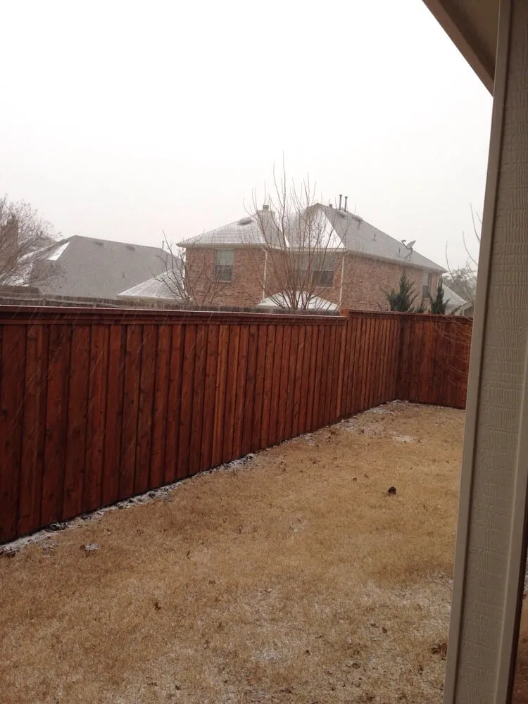 Top-rated lawn care service experts serving Rockwall, TX - Renew Fence & Construction