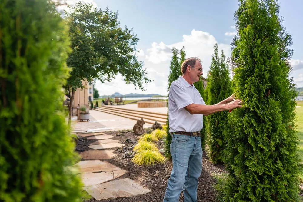 Affordable landscape design in Little Rock, AR by ReNew Garden Creations