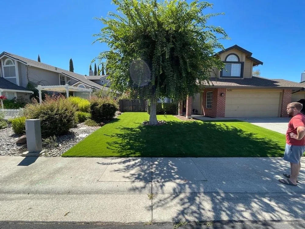 Expert residential landscaping near you in San Fernando Valley, CA by Renew Green Living